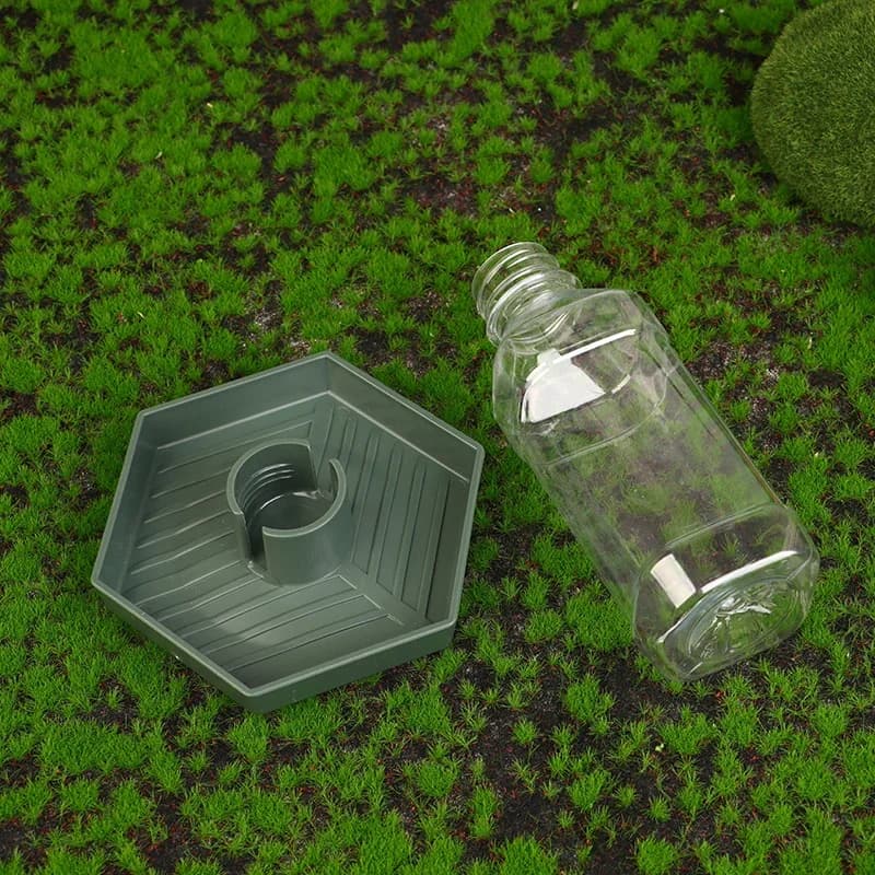 Reptili Alimentatore d'acqua Ciotola Alimentatore per alimenti Bottiglia d'acqua per rettili Pet Dispenser d'acqua automatico antiscivolo per lucertole