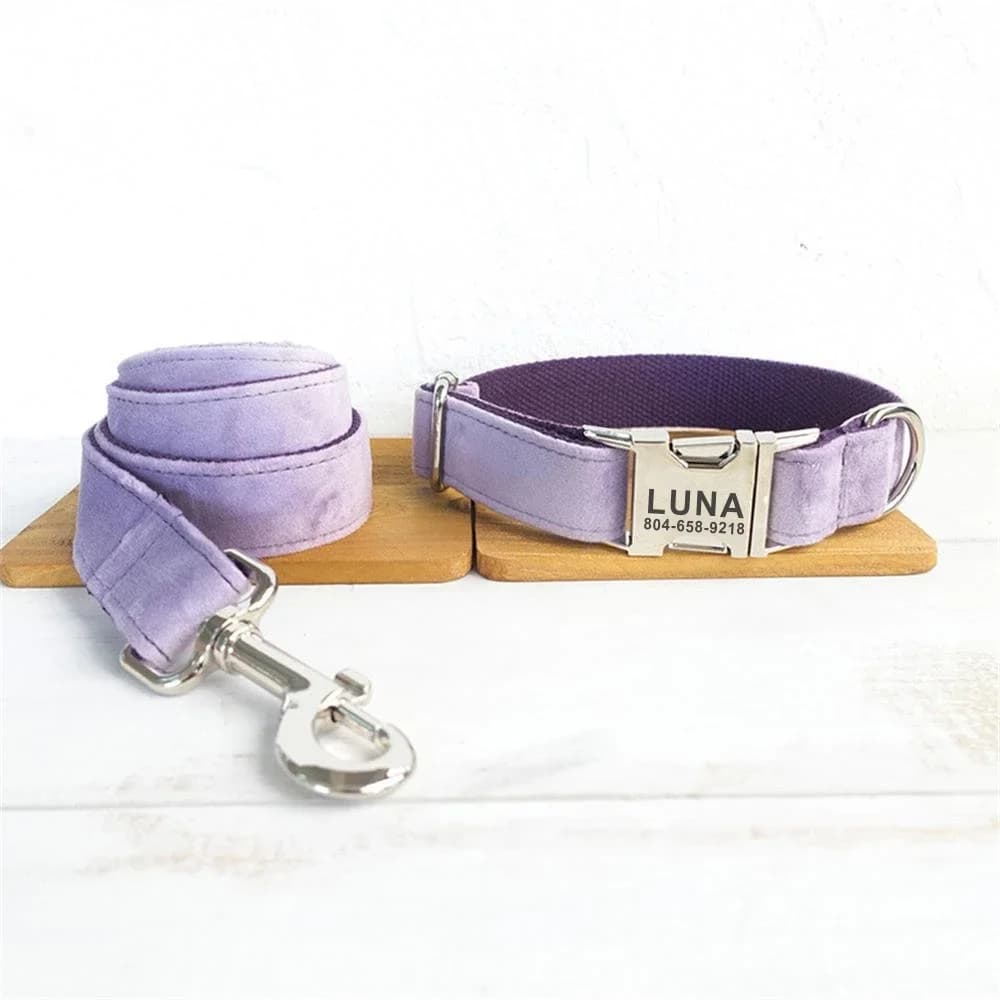 Collare per cani personalizzato Collare per animali personalizzato Incisione gratuita ID Nome Tag Accessorio per animali Guinzaglio per collare per cuccioli in velluto spesso viola