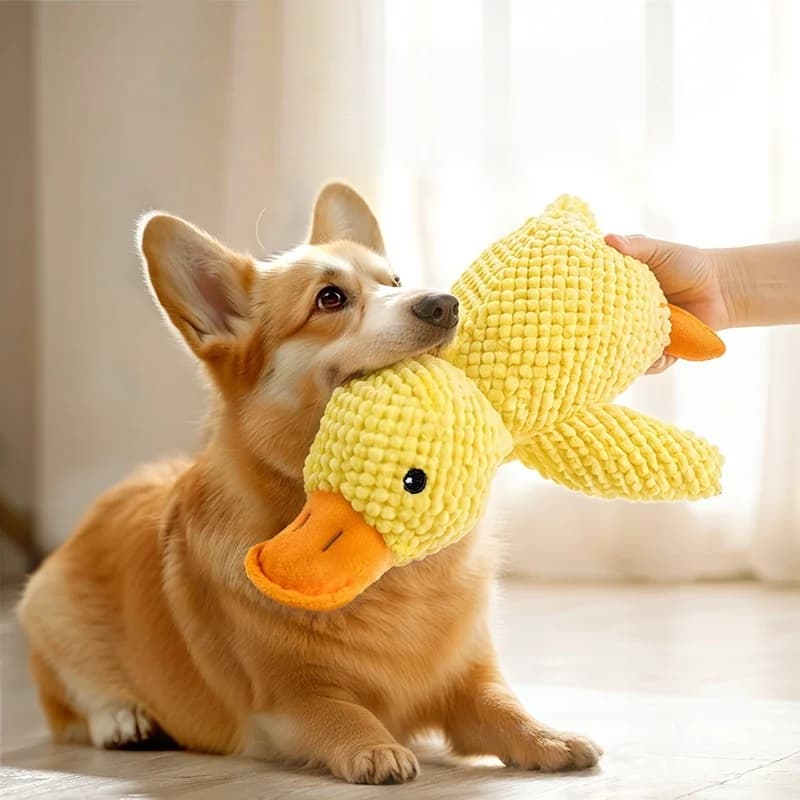 Giocattolo per Cani a Forma di Anatra, Peluche Resistente ai Morsi, Durevole con Suono di Quaffo, Allevia il Stress Dentale, Compagno Morbido per Cani Piccoli e Grandi
