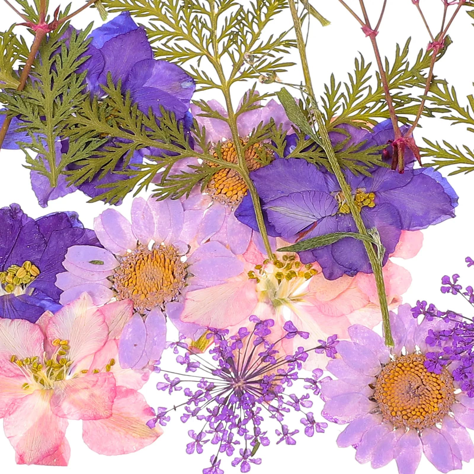 27Pcs Pressed Flowers Dried Flower Craft Kit Natural Dried Flower Patches for DIY Resin Jewelry Scrapbooking Greeting Cards