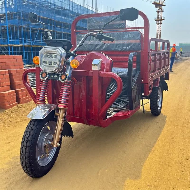 Bicicletta per adulti triciclo elettrico a 3 ruote per moto elettrica