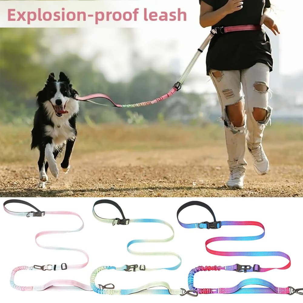 Premium Pet Dog Explosion-Proof Leash Pet Leash Waist Crossbody Hands Free Dog Leash Belt Leash