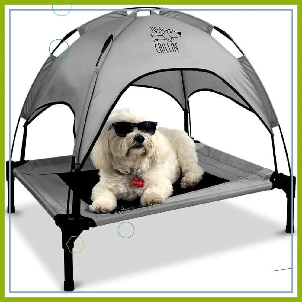 Cuccia rialzata per cani con tettoia, lettino in rete rinfrescante per interni/esterni, leggera e portatile