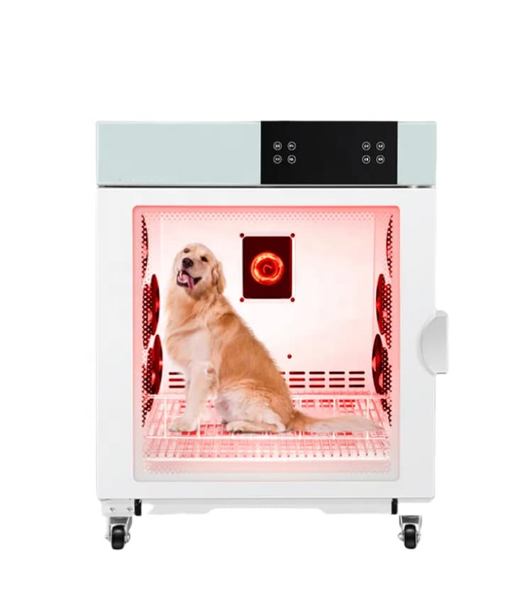 2026 SELL Asciugatrice Automatica per Cani Ultra Silenziosa con Controllo Preciso della Temperatura per Animali Domestici