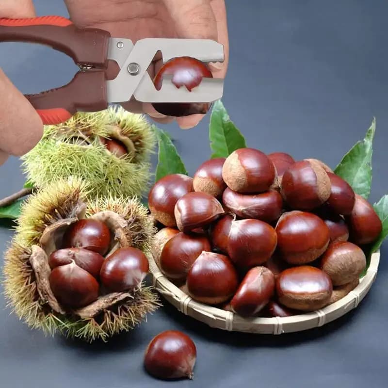 Taglierina per castagne Apriscatole per castagne Manico ergonomico compatto Pelapatate per castagne resistente e multiuso per frutta secca