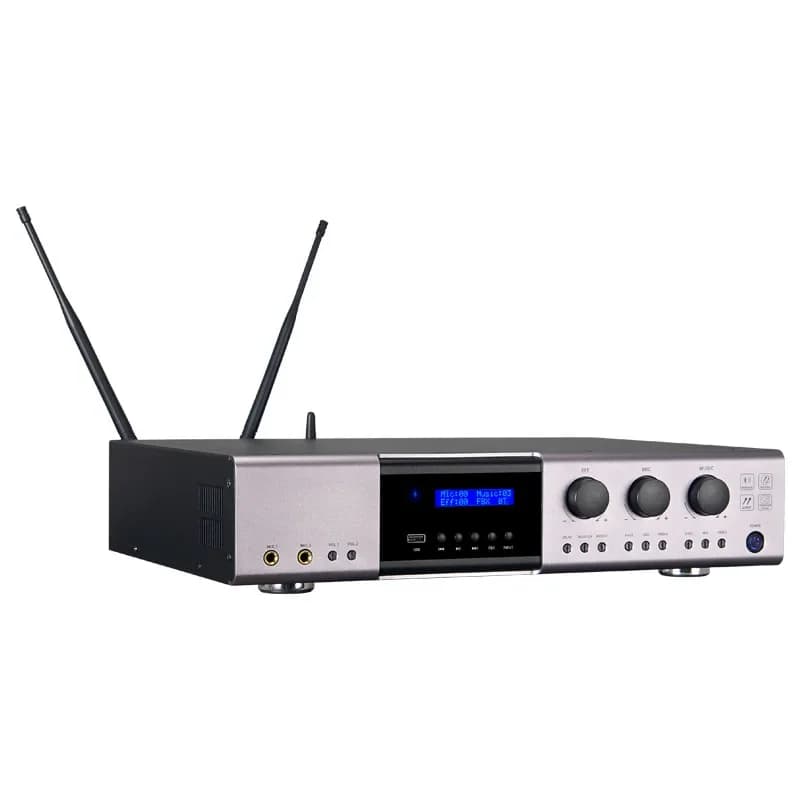 Famiglia karaoke professionale tre in uno amplificatore di potenza anti-ulferli macchina all-in-one con microfono wireless ef da palcoscenico