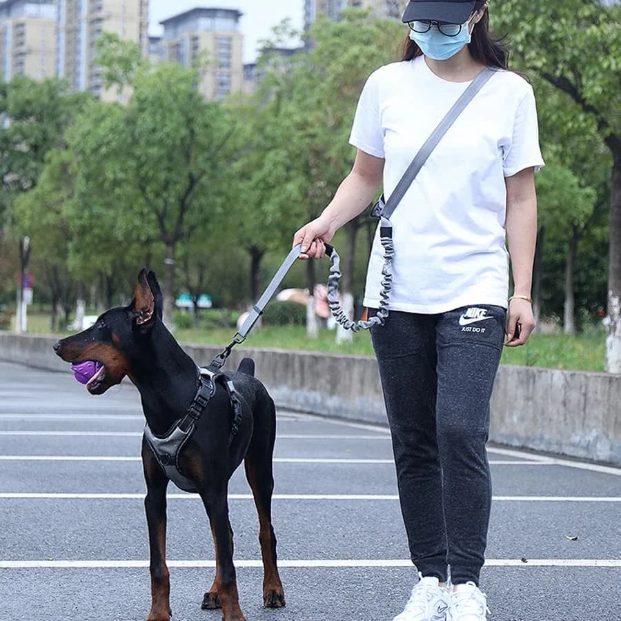 Free hand dog driving for pet walks, running, jogging, adjustable dog leash, chest strap, pull rope, dog accessories