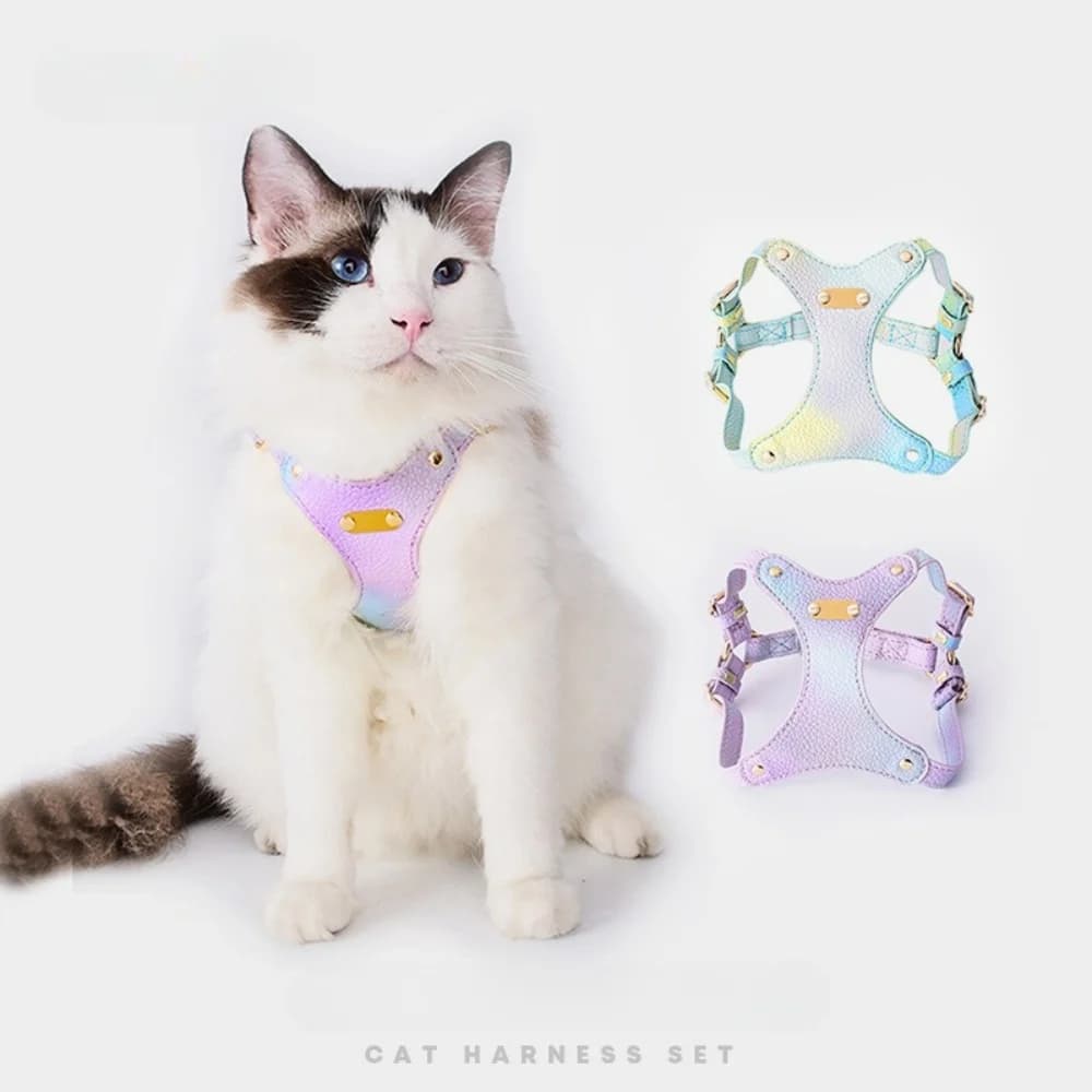 Dispositivo da passeggio per gatti in morbida pelle impermeabile per cani e gatti, orsacchiotto, imbracatura per gatti Chihuahua a prova di fuga