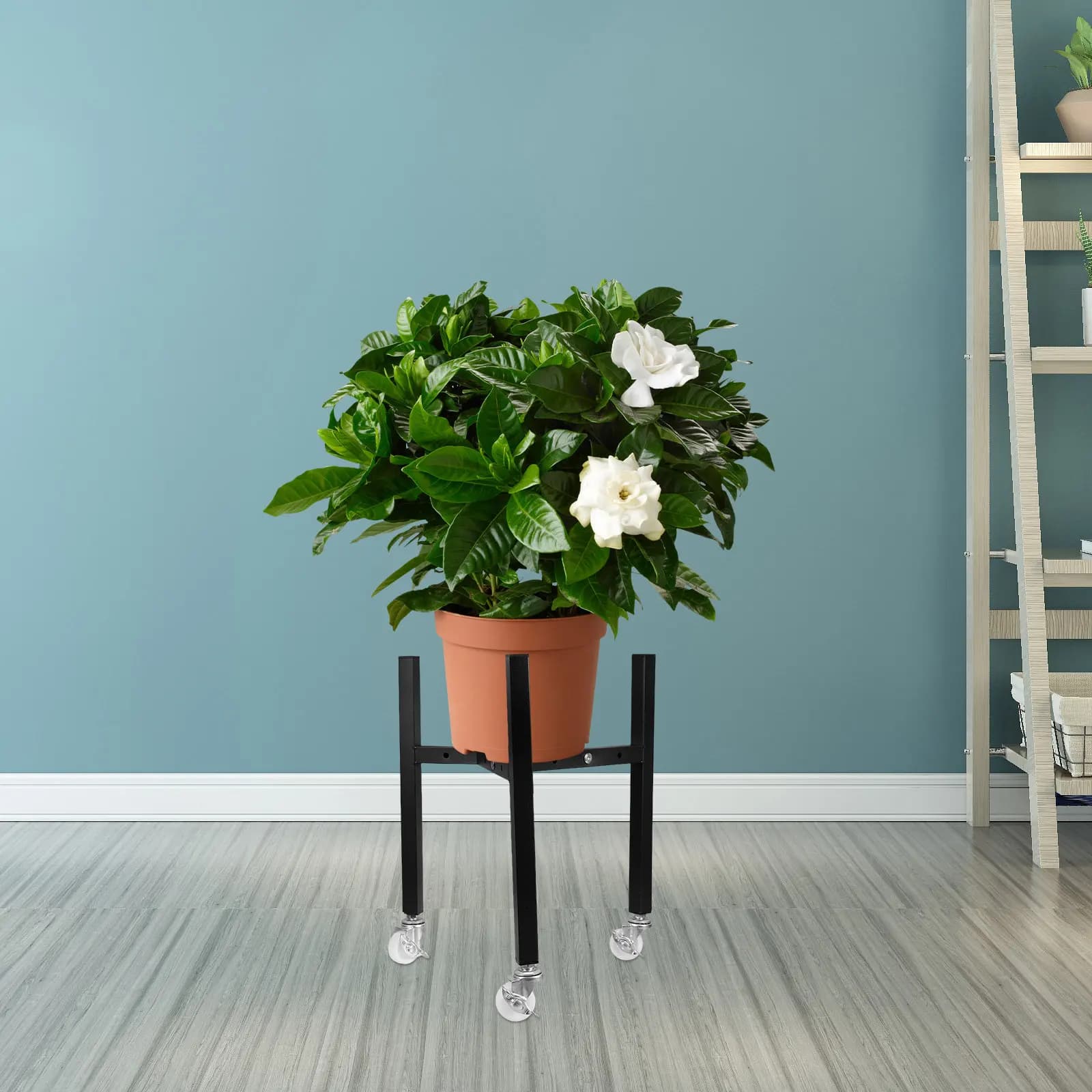 Espositori per acquari, supporti decorativi per piante, scaffali da scrivania, porta piante da interno ad angolo, porta vasi da fiori per balcone