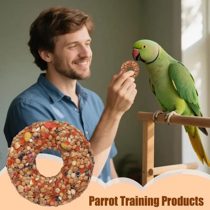 Cibo per uccelli Giocattoli per uccelli per parrocchetti Forniture per massaggiagengive a forma di ciambella per addestramento e arricchimento Accessori per legni