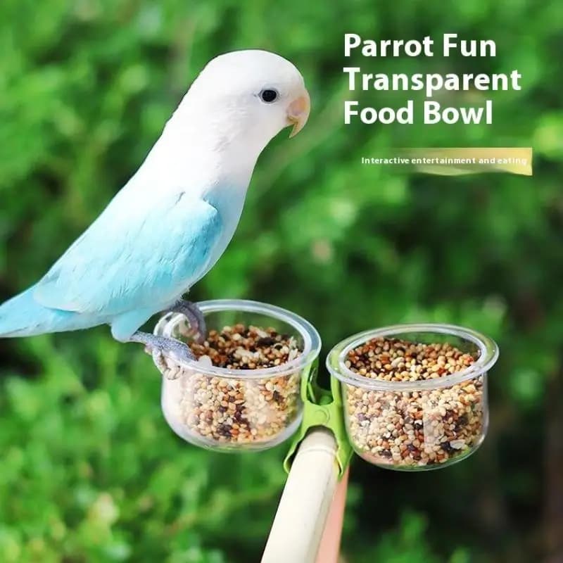 Ciotola per Acqua e Cibo per Uccelli, Mangiatoia per Gabbia, Accessori per Alimentazione Animali Domestici, Ciotola per Pappagalli con Clip, per Piccoli Uccelli