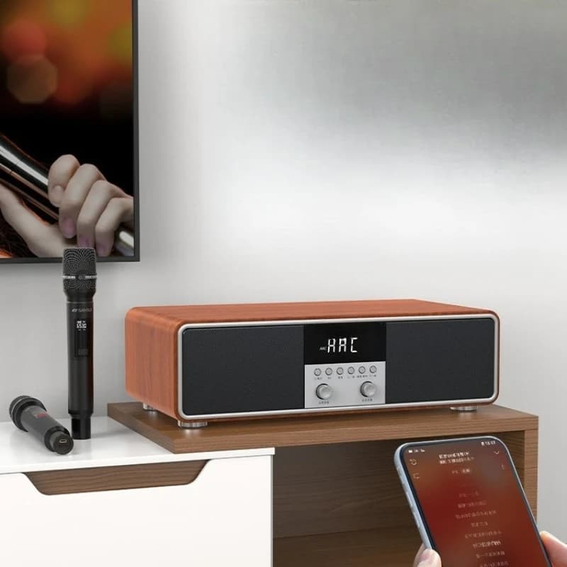 T73 Singing Machine KTV, set audio karaoke per casa, macchina karaoke all-in-one per uso domestico