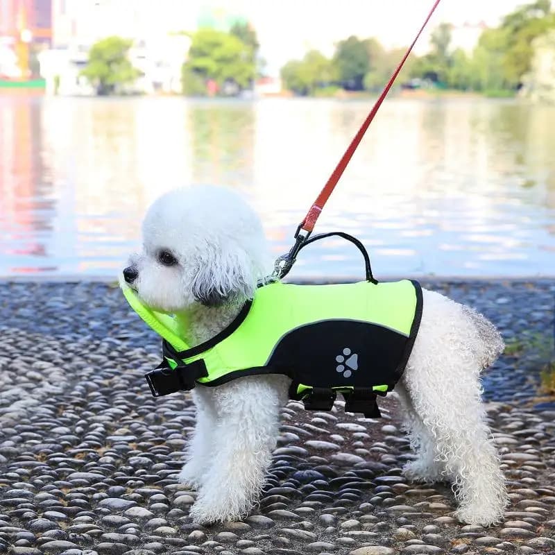 1Pcs Life Vest Dog Summer Life Jacket With Removable Front Float Adjustable High