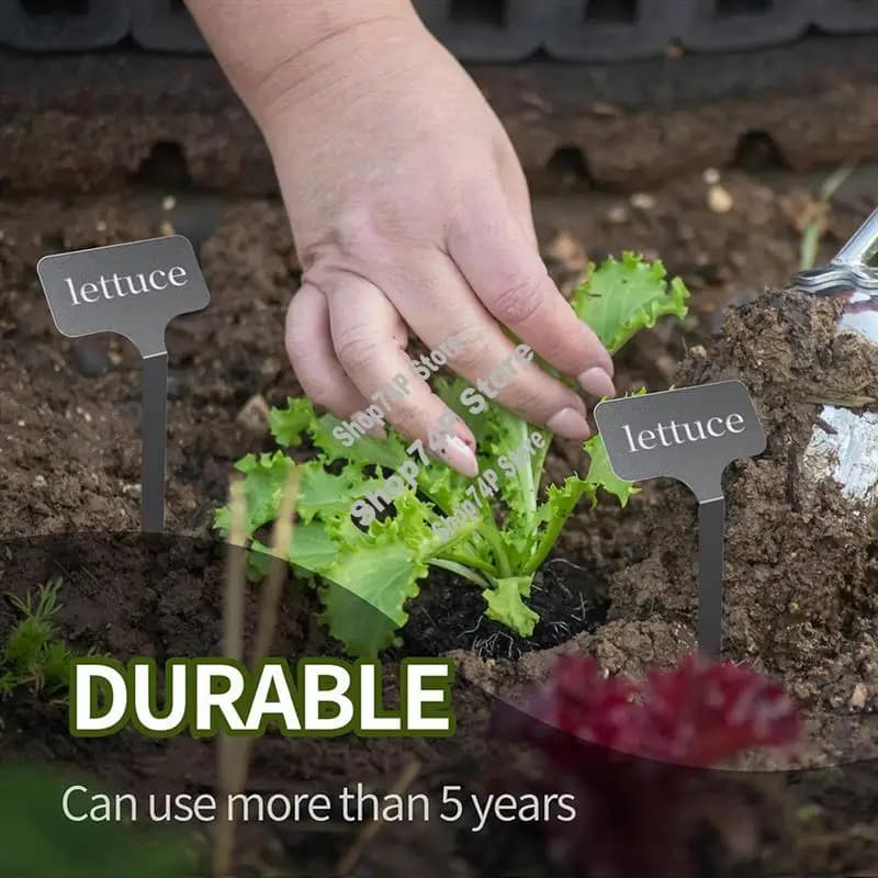 Garden labels with ground sticks T-shaped labels Height 12,75 inches, reusable for vegetables Grasses Flowers seeds Green house 20 pieces- A74P