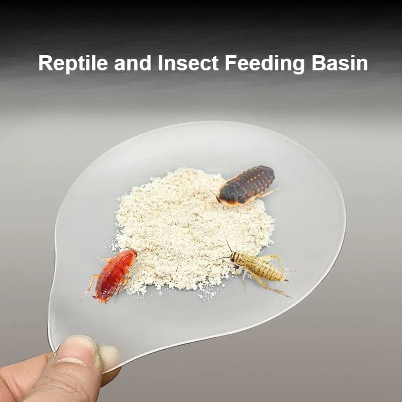 Ciotola Trasparente in Plastica per Alimentazione di Rettili e Insetti, Piatto per Grillo, Scarafaggi, Piccoli Insetti, Acqua e Cibo, Mangiatoia per Animali Domestici