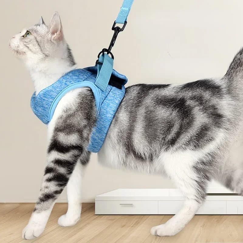 Set di guinzagli per imbracatura per cani e gatti regolabili imbracature Anti-fuga per animali domestici gilet morbido e traspirante per forniture per cinturini pettorali da passeggio per gatti all'aperto