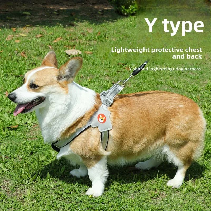 Reflective Y Type Dog Chest Harness, Comfort Non-Choke Puppy Vest for Walking