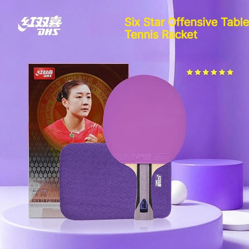 DHS 6 Star F6001 Table Tennis Racket Hurricane 9 Tin Arc Rubber Offensive Ping Pong Bat for Gym Training Club Entertainment