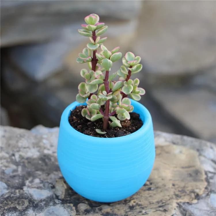 1 Pezzo Mini Vaso per Piante in Resina PP 7*7cm, Piccolo Vaso Colorato per Piante in Vaso, Decorazione per Ufficio
