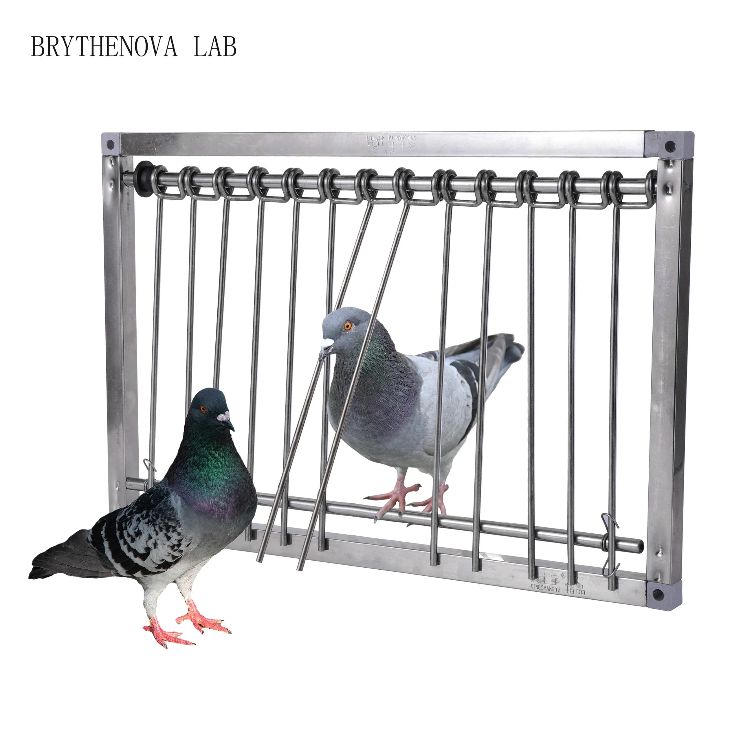 1 Pc Stainless Steel Dovecot Trap Door Pigeon Door Wire Entrance Frame Loft Supplies Racing Bird Catching Cage Nest Curtain