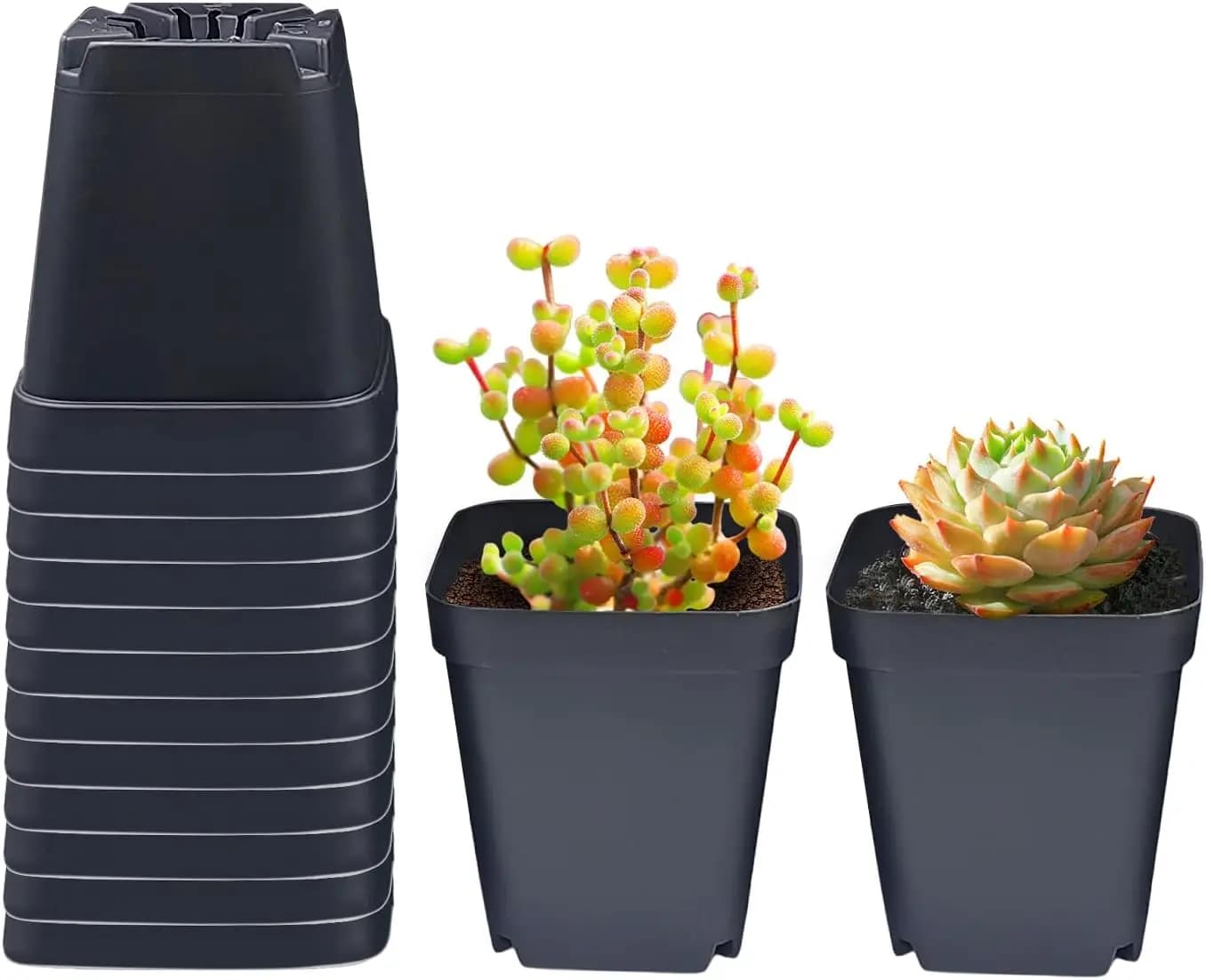Square Vases for Semenzaio 3.54 Pollici, 90 Pieces, in Plastic Mass for Germination Semi and Propagation Plants