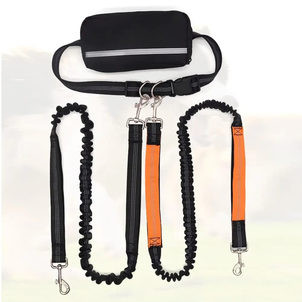 Adjustable Double Dog Leash with Pouch Anti-Tangle Waist Bag Belt Twin Lead for 2 Dogs with Dual Bungees No Pull Leash