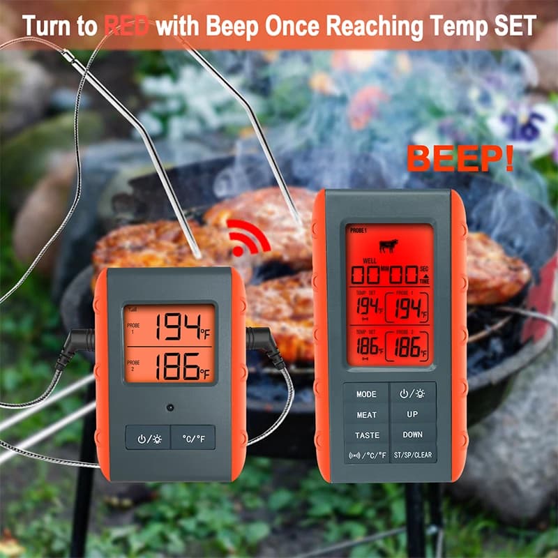 Termometro Digitale da Cucina con Doppia Sonda e Timer/Allarme Temperatura per Affumicatore, BBQ, Cottura Carne, Forno