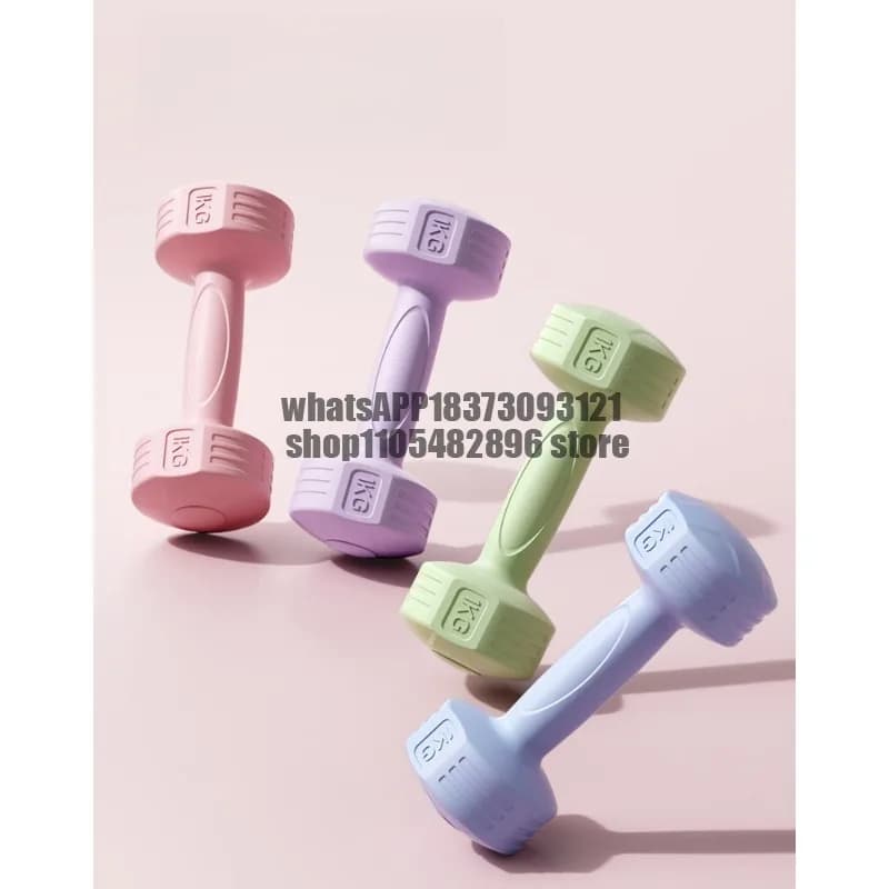 Dumbbells Ladies Fitness Household Equipment Skinny Belly Arm Barbell Kettlebell Small Dumbbells