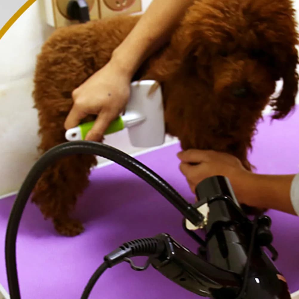 Premium Support for Free Hands Hair Dryer with Adjustable Clamp for Home Animals, Salon, Domestic Use, Bank Support for Dogs