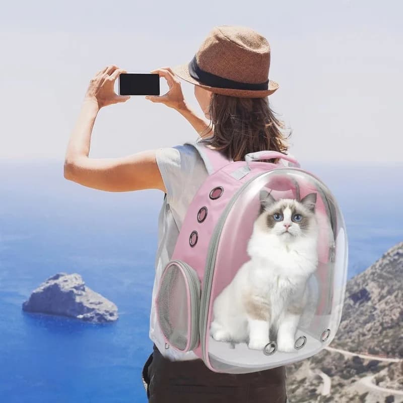 Zaino Portatile Rosa per Animali Domestici, Borsa da Trasporto per Gatti, Design Confortevole e Traspirante per Piccoli Animali in Movimento