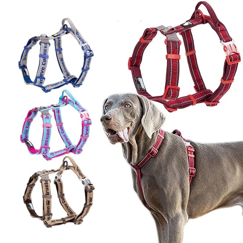 Imbracatura per cani riflettente regolabile winhyet, gilet per tutte le stagioni, imbracatura da viaggio per cani di taglia piccola e media