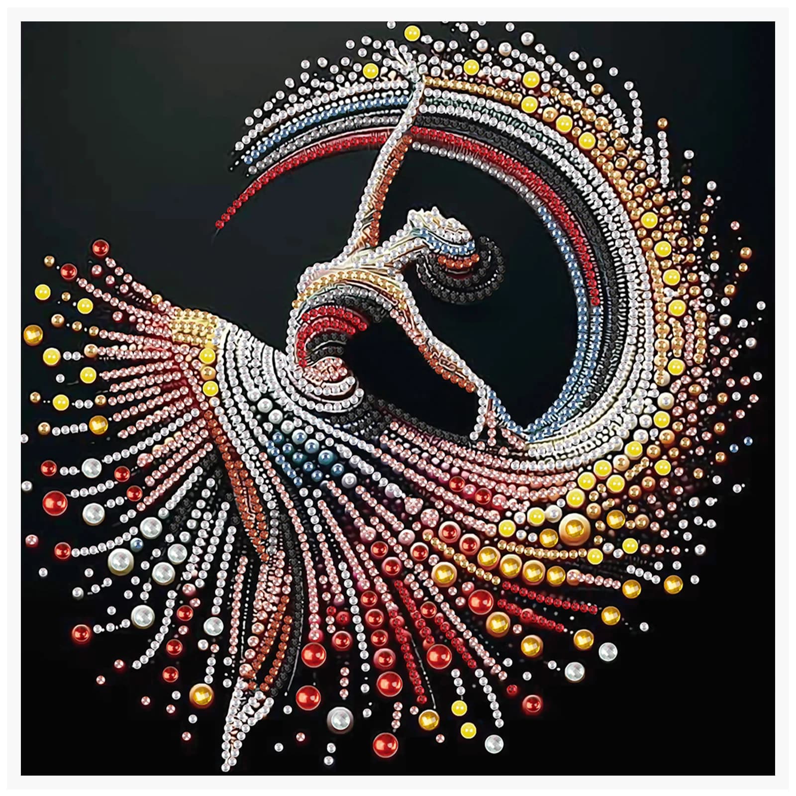 Kit artistici con diamanti a forma speciale per principianti e adulti, kit di pittura artistica con diamanti per ballerina elegante per regalo di decorazione della parete di casa