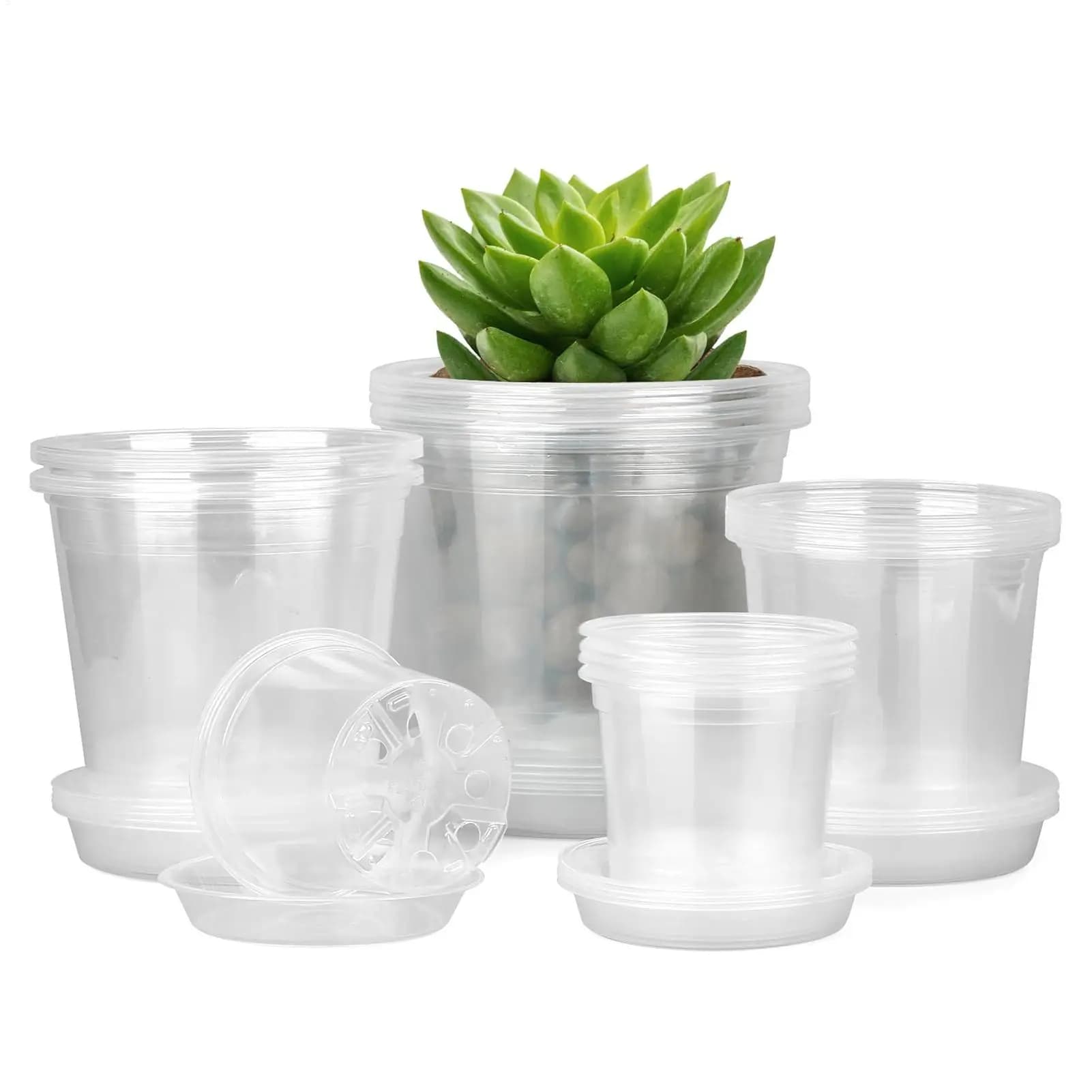 20 transparent pots for seedlings with tray and drainage holes, transparent plastic vessels for seed germination, plant containers.