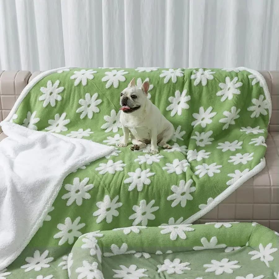 Cover for Domestic Animals, Green Covers for Bed and Sofa Dogs, Elegant Jacquard Covers for Puppies and Cats, Washable and Reversible