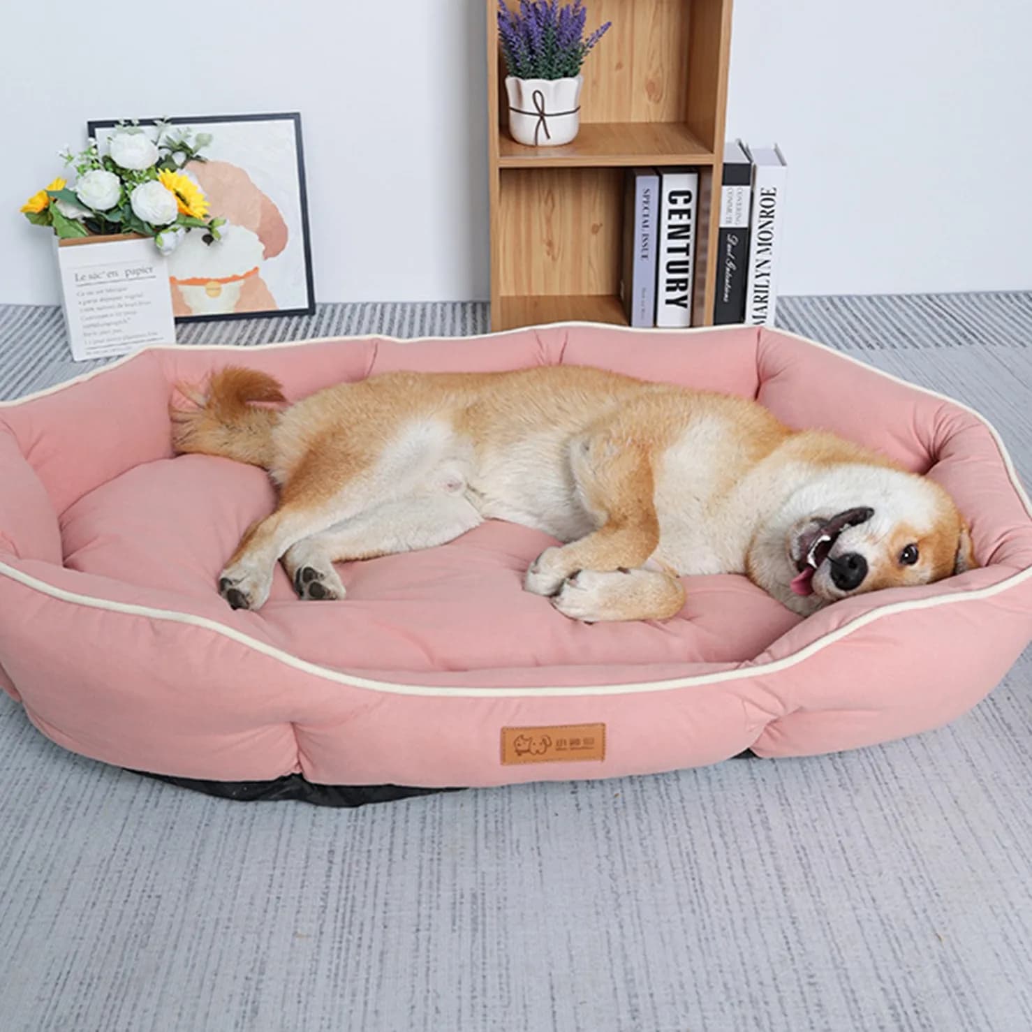 Letto per cani in velluto scamosciato imitazione soffice morbido ad alto rimbalzo traspirante materassino per cani letti antiscivolo resistenti ai morsi accessori per cani da compagnia