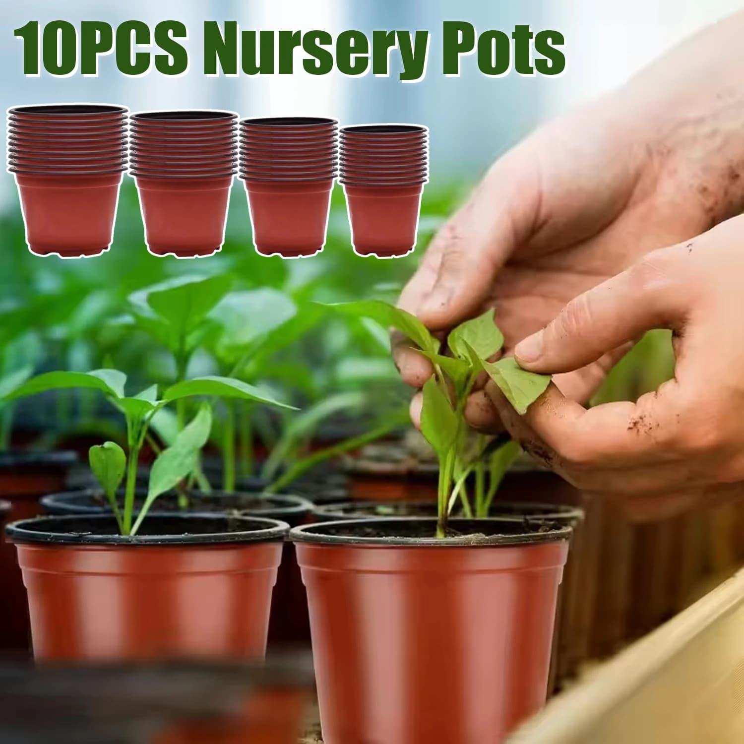 10 Plastic Jars for Plants, Containers for Semina, Pots for Flowers, Ideal for Fat Plants, Plants, Steaks and transplants