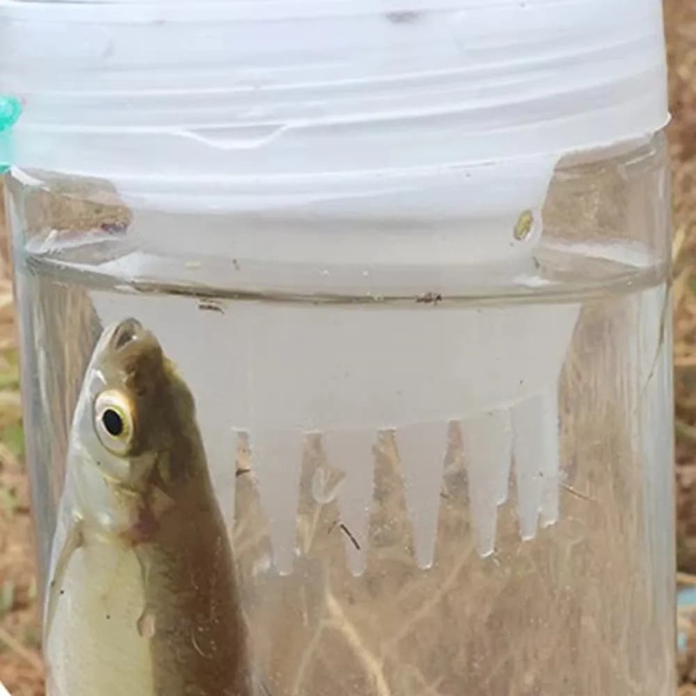 Durable Catch Fish Bottle Lightweight Reusable Fish Cage Container Fishing Traps Small Fish Loach Trap Container Mud Cage