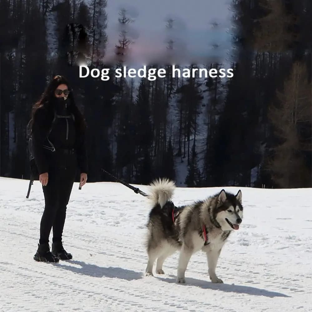 New Reflective Dog Harness Pulling Sledding Weight Mushing Dog Sled Harness Adjustable Skijoring Pet Back Chest Strap Large Dogs
