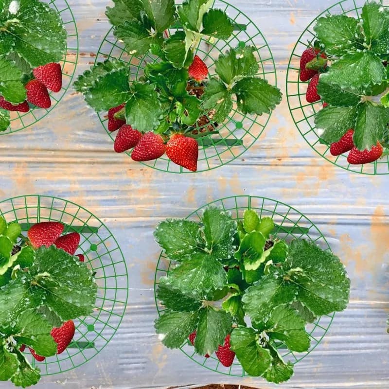 ABLJ Plastic Half Circle Interlocking Garden Tool-Strawberry Support Stand(10Pcs) For Balcony Pot Planting