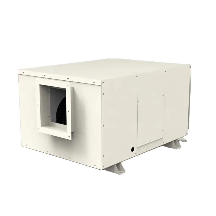 Deumidificatore commerciale per deumidificatore industriale montato a soffitto con prezzo diretto di fabbrica 138L/D