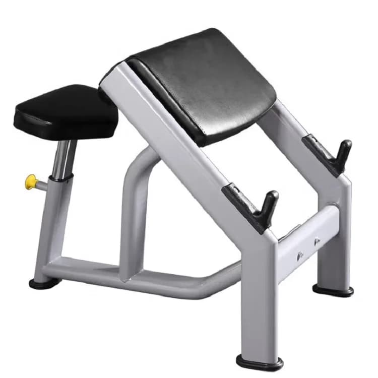 Insulated station for Bicipits with Balancing and Manubri, Adjustable bench for Weight Training, Domestic Gym Equipment and Muscular Enhancement