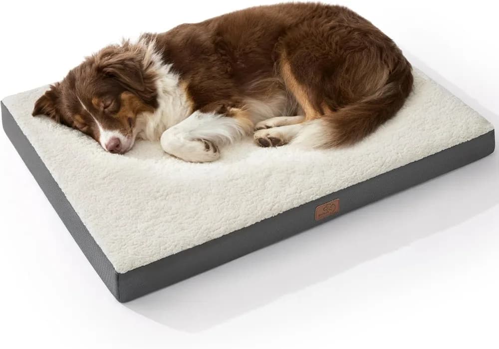 Grande lettino ortopedico per cani con copertura lavabile, supporto in schiuma per casse per uova per animali domestici fino a 65 libbre