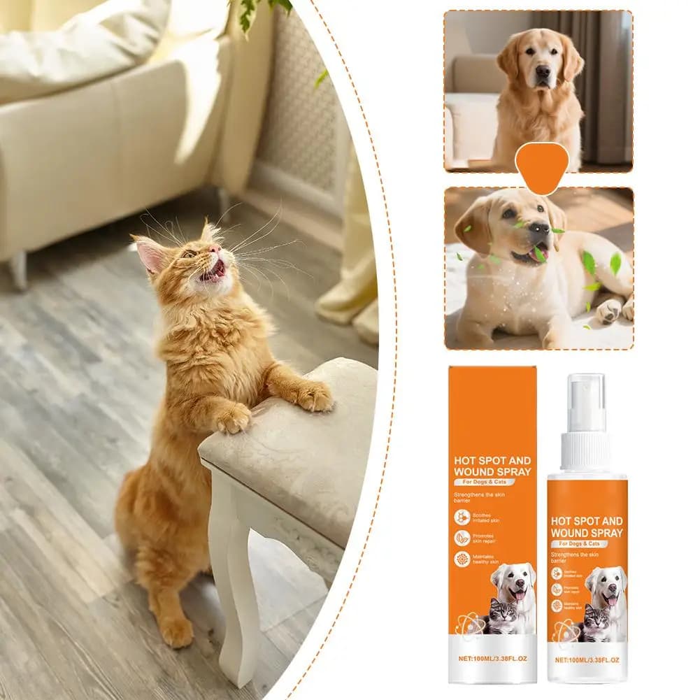 Spray per la cura della pelle degli animali domestici per prurito cutaneo, spray antiparassitario per cani e gatti, ingredienti naturali, spray detergente portatile per animali domestici
