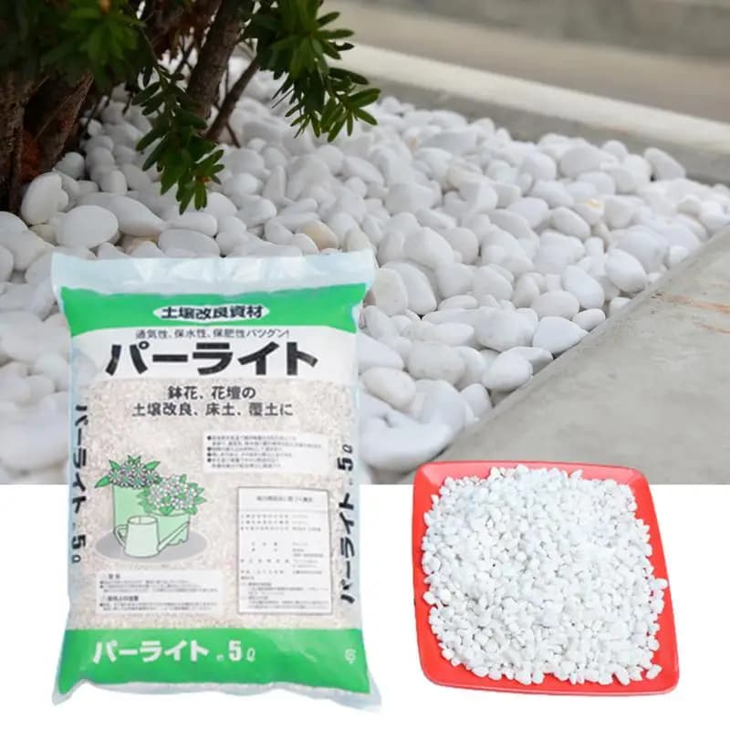 Disposable perlite for gardening in horticultural pot Perlite of the soil Instrument for planting light textures for hydroponic container