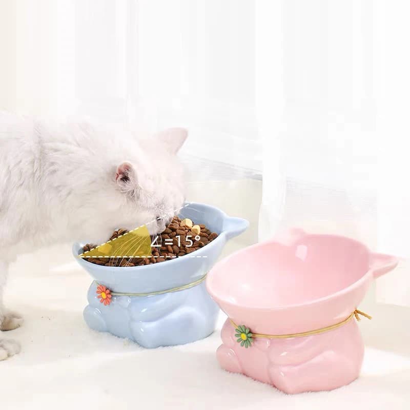 Protezione creativa in ceramica dipinta a mano per la colonna vertebrale cervicale Anti ribaltamento Gambe alte Forniture per animali domestici Ciotola per cibo per acqua per cani/gatti 1 pezzo