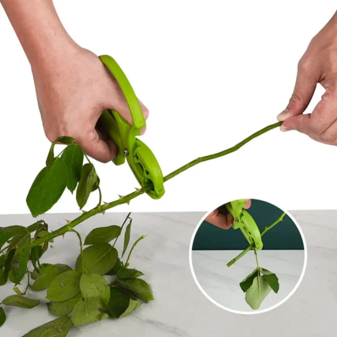 1 piece, floral shears, 2-in-1 flower pruning shears, stainless steel garden shears, rose thorn removal shears, suitable for flo