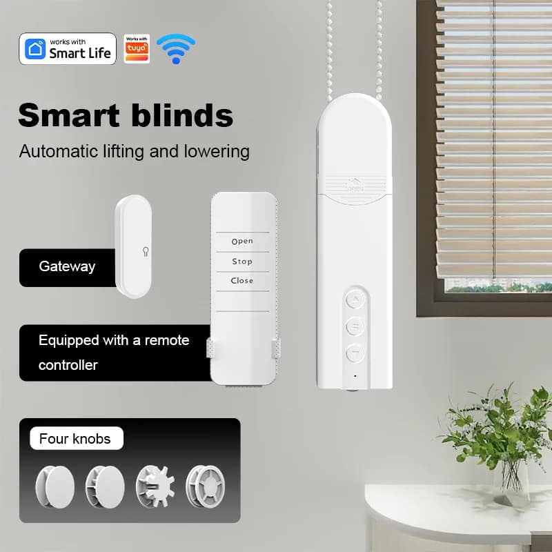 Motore silenzioso per rullo cieco elettrico WiFi con controllo vocale APP remoto con trattamenti per finestre Alexa Google Home Automation