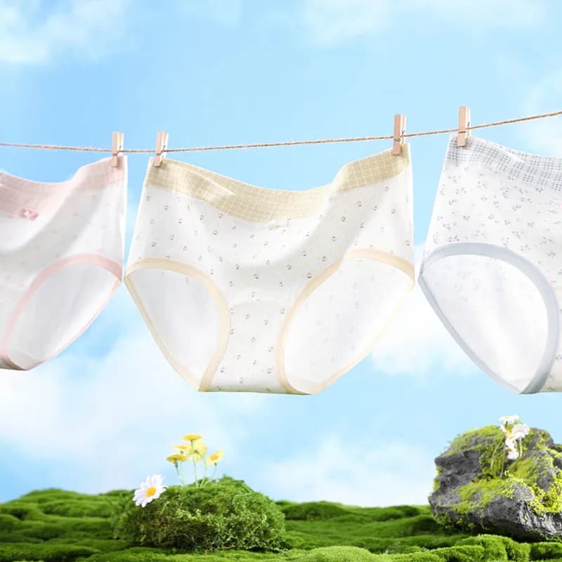 3 Pezzi Slip Donna Comodi Sexy Morbidi con Fiocco Intimo Traspirante in Puro Cotone a Vita Media