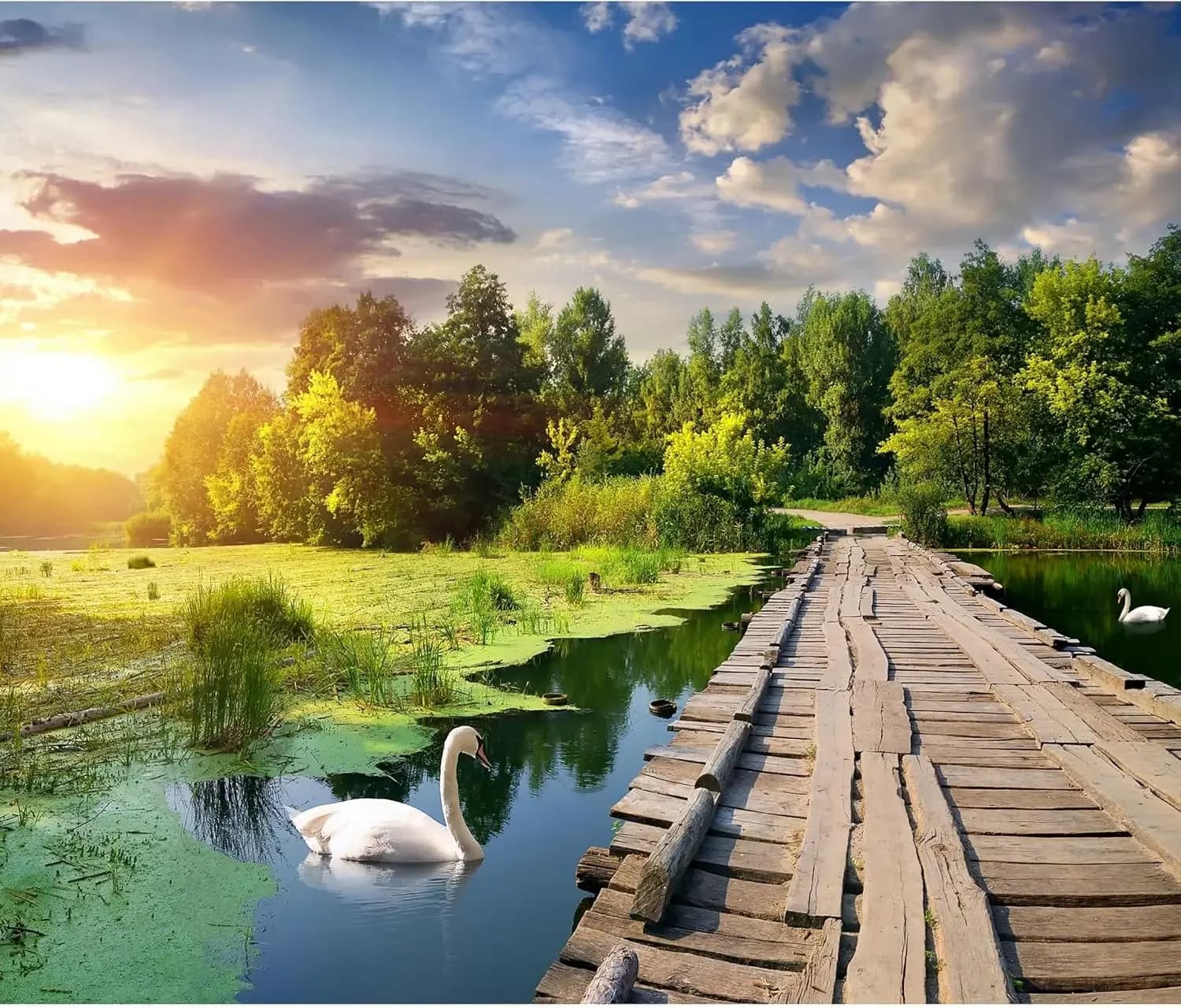 Puzzle in Legno da 520/500/300 Pezzi: Gioco Educativo per Famiglie, Attività Divertente al Lago, Regalo di Compleanno