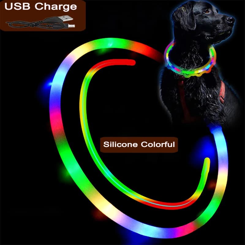 Collare di ricarica Luminou per cani a 3 modalità Collare colorato in silicone per gatti USB LED Staccabile Bagliore notturno Prevenzione della perdita di animali domestici Accessori per cani
